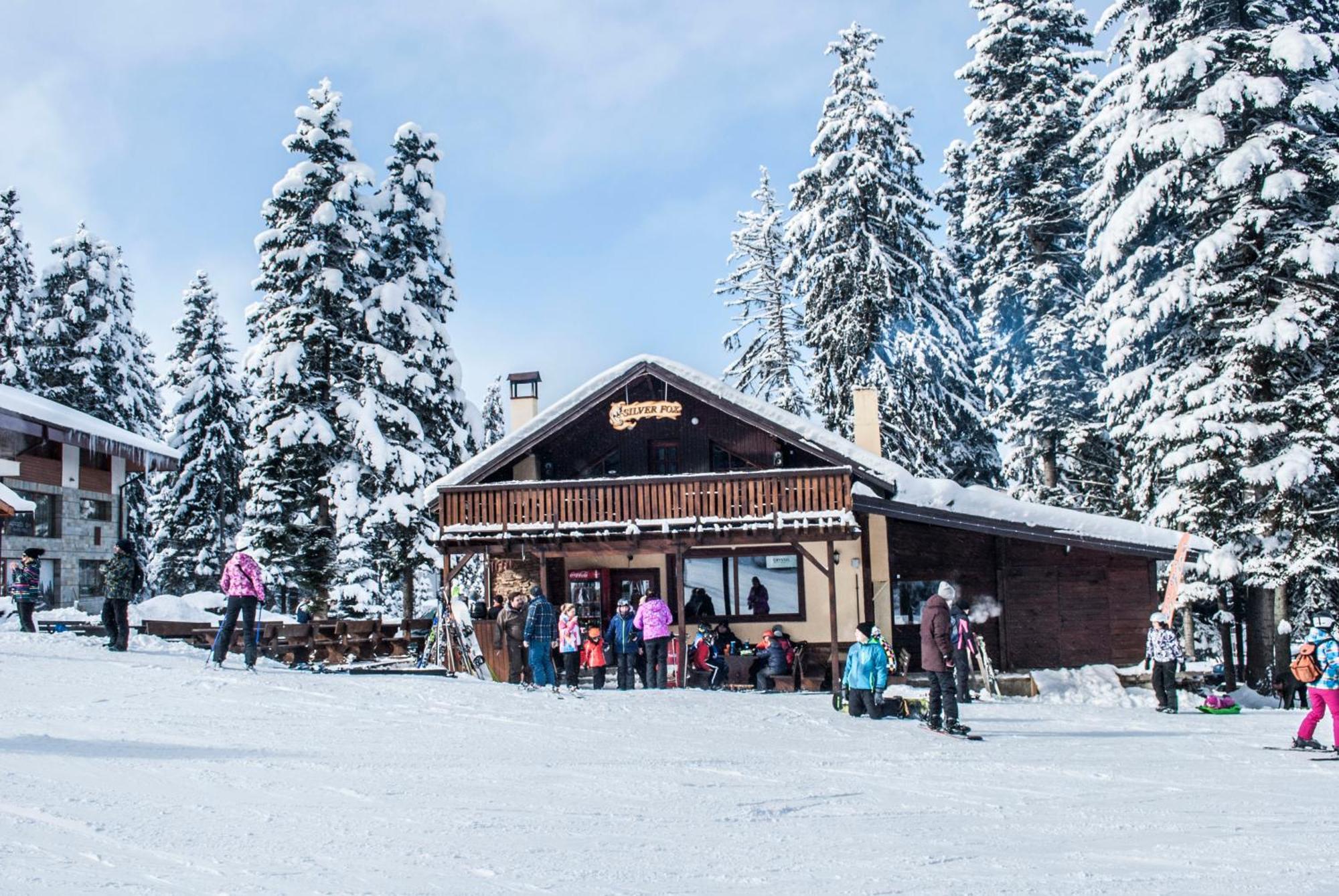 Alpine Ski Chalet Borovets With Sauna Bagian luar foto