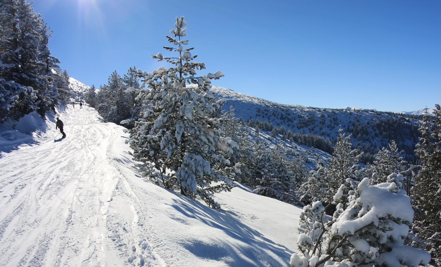 Alpine Ski Chalet Borovets With Sauna Bagian luar foto