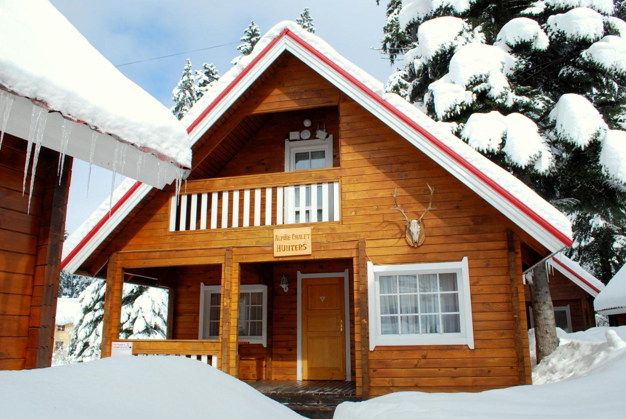 Alpine Ski Chalet Borovets With Sauna Bagian luar foto