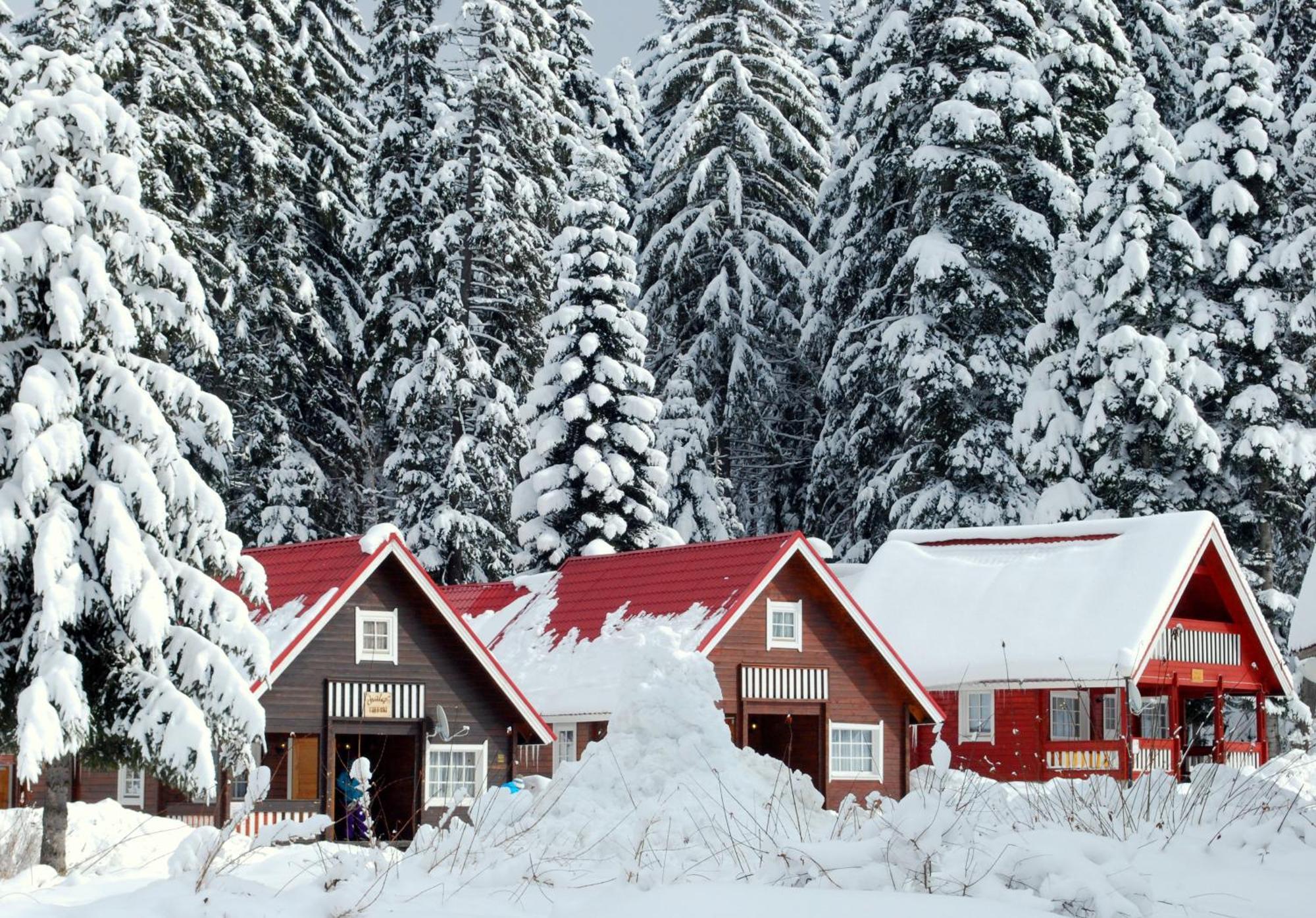 Alpine Ski Chalet Borovets With Sauna Bagian luar foto