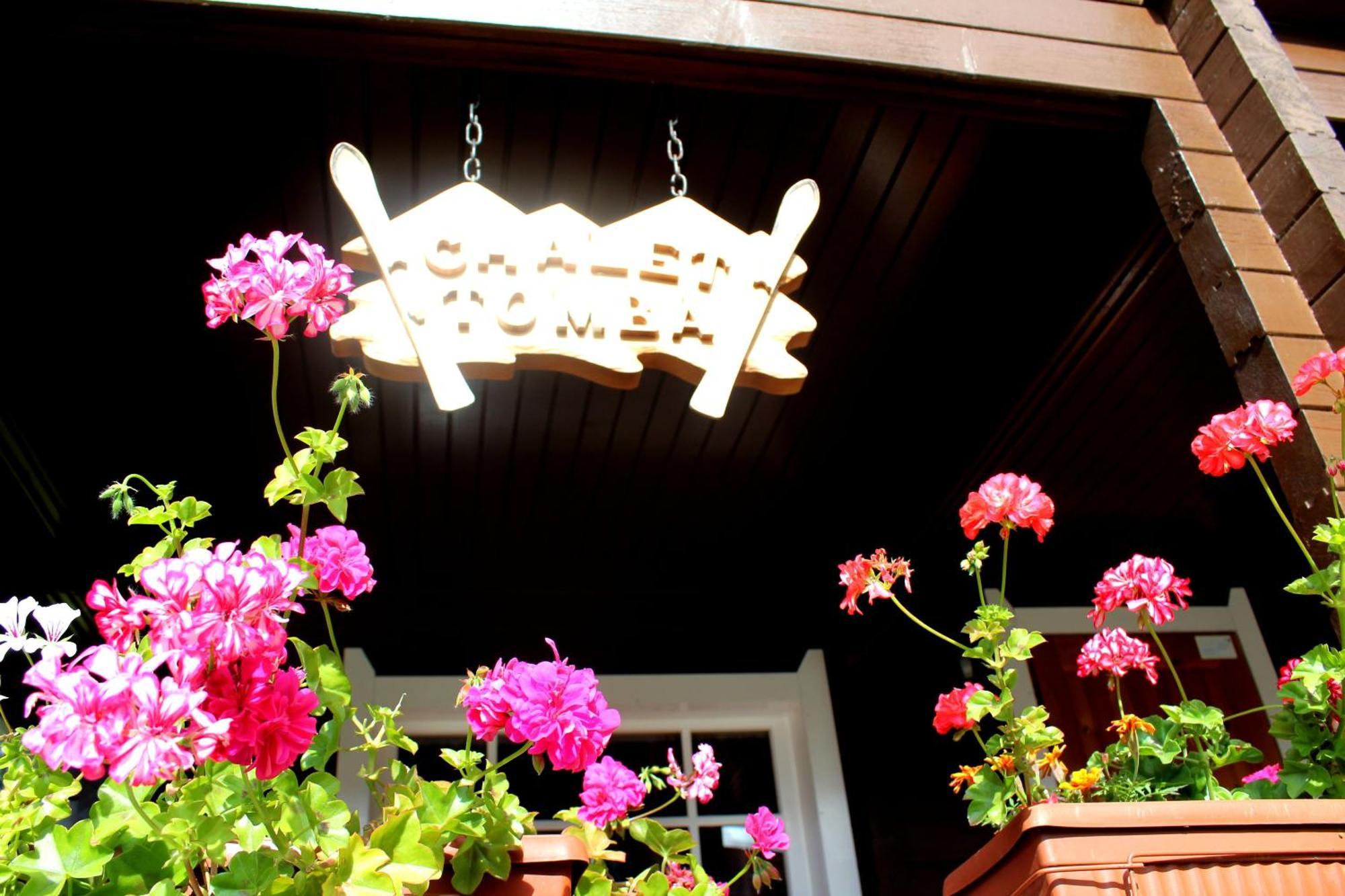 Alpine Ski Chalet Borovets With Sauna Bagian luar foto