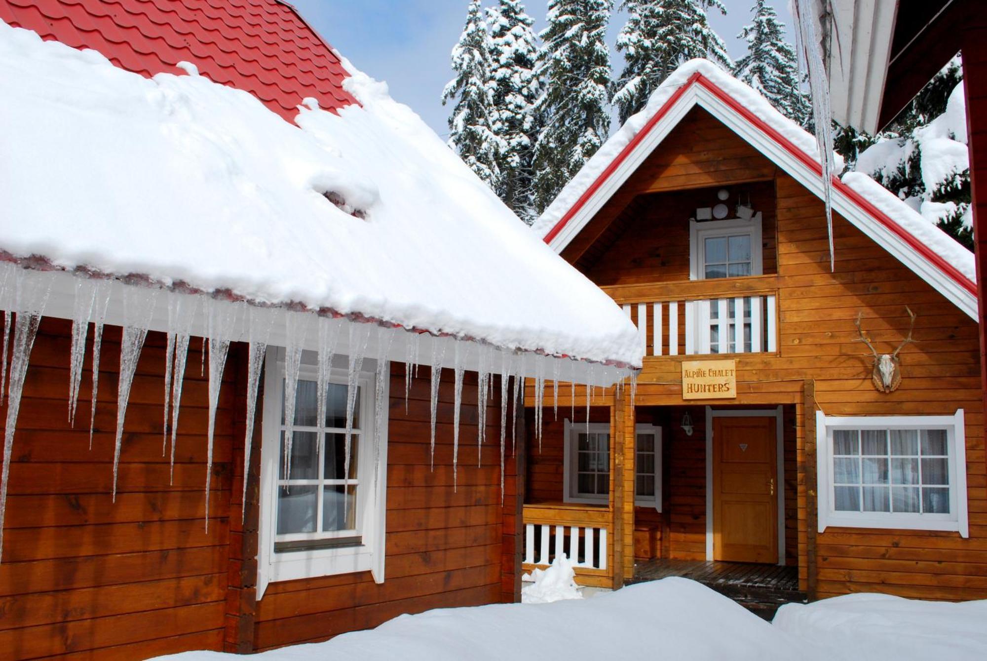 Alpine Ski Chalet Borovets With Sauna Ruang foto